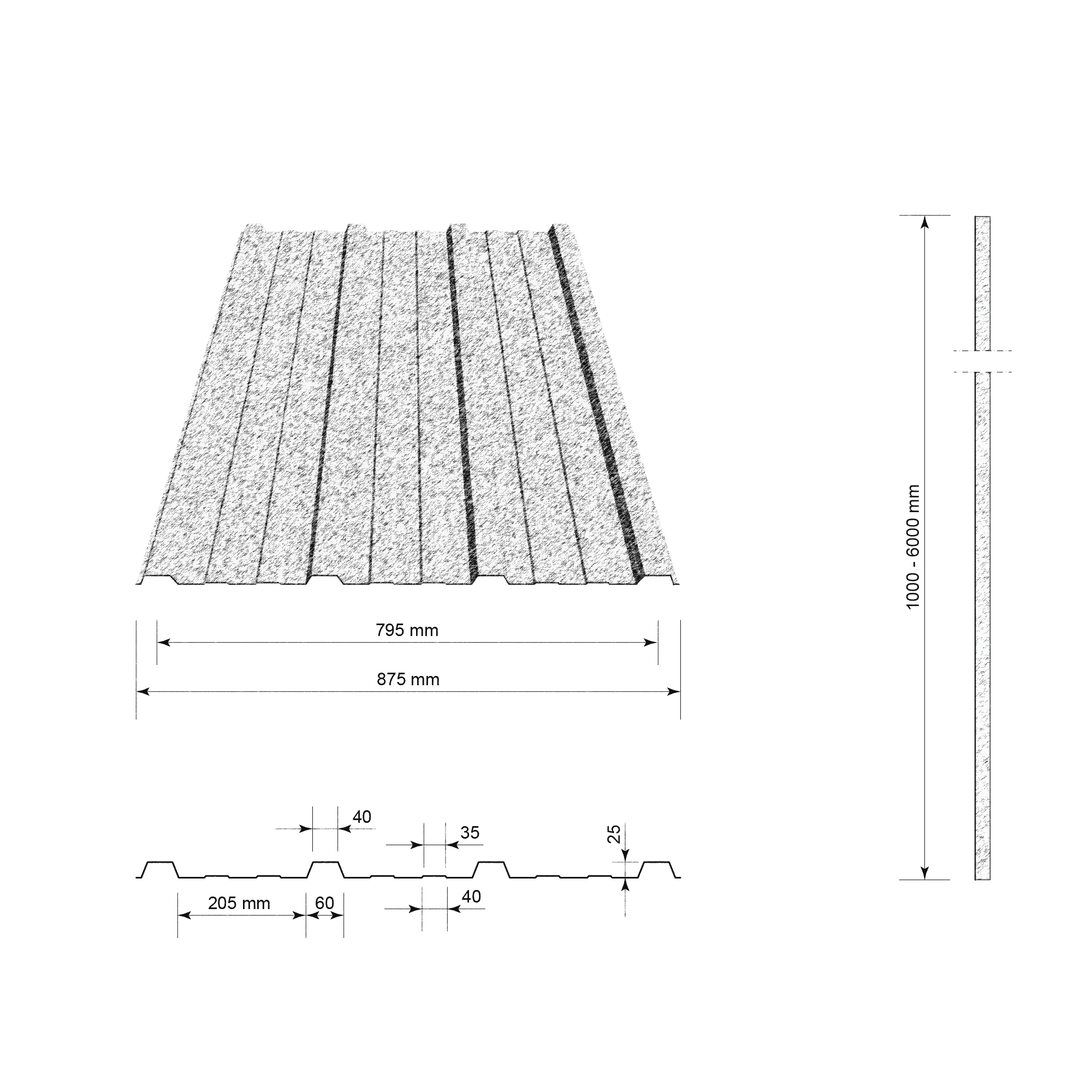 TR25